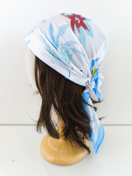 Ciel de Printemps